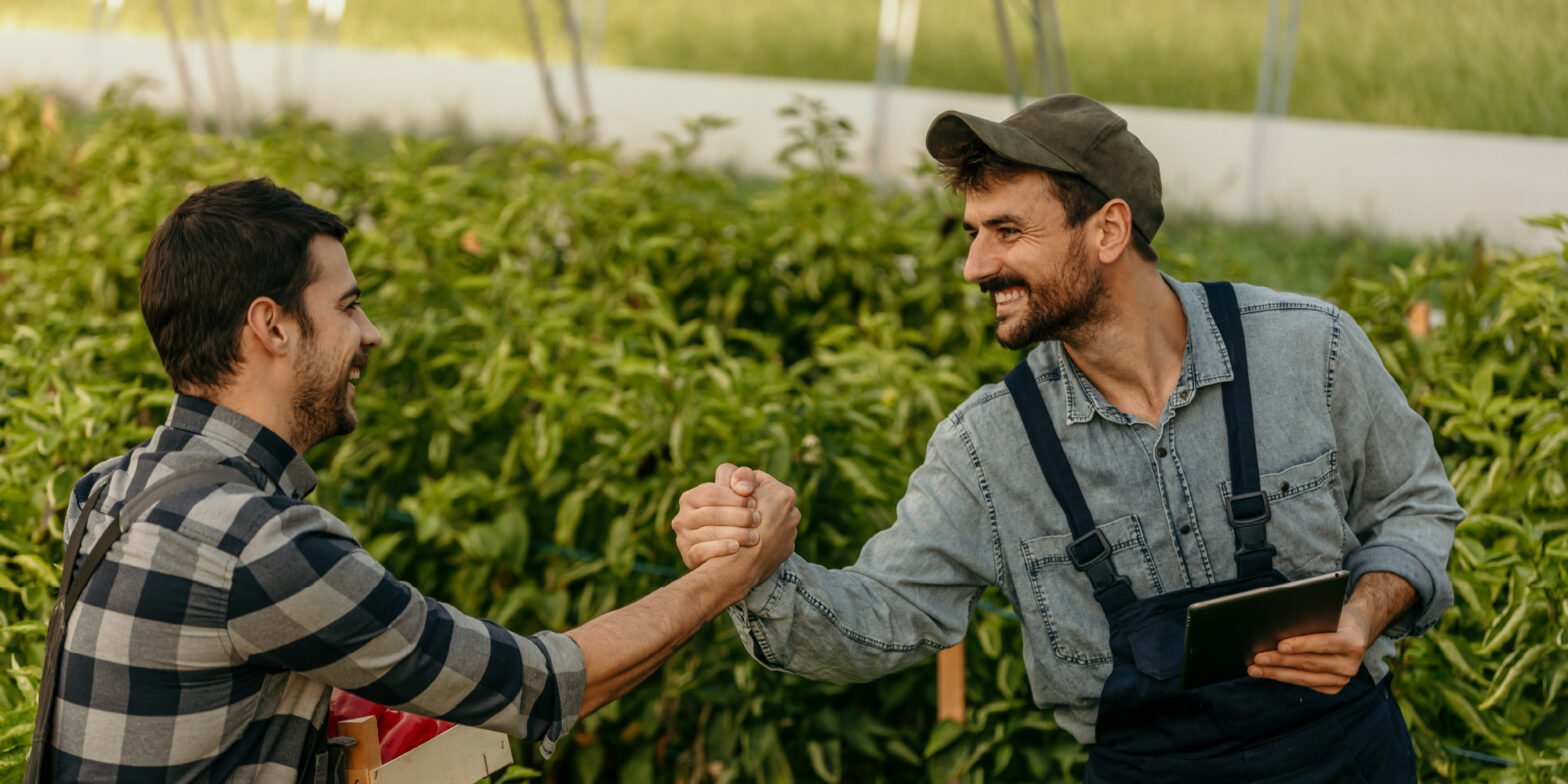 two workers grasp hands in middle of crops