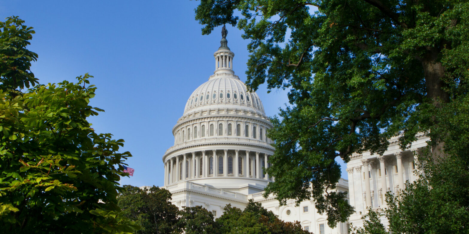 u.s. capitol dome surrounded by trees